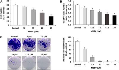 N-methylsansalvamide elicits antitumor effects in colon cancer cells in vitro and in vivo by regulating proliferation, apoptosis, and metastatic capacity